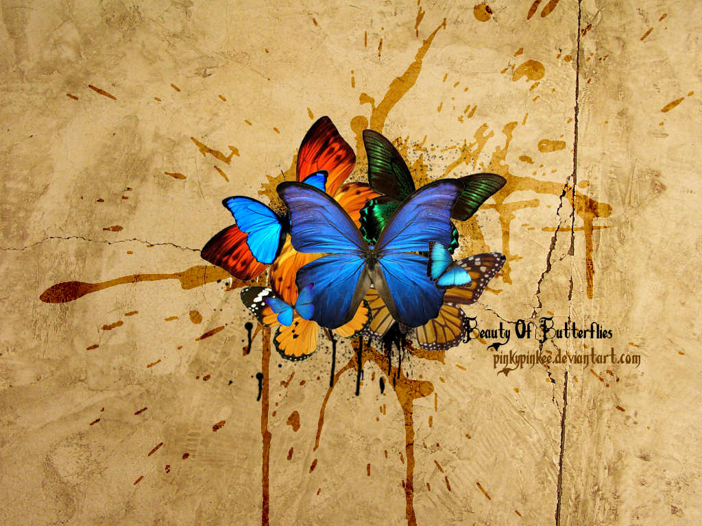Butterflies on background , download wallpapers for desktop