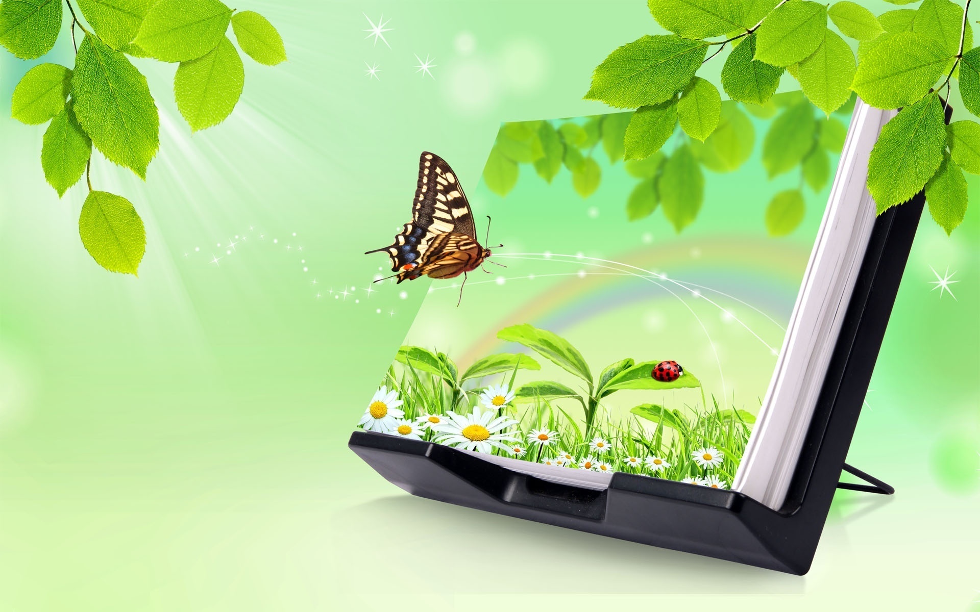 butterfly wallpaper, download photo, desktop wallpapers