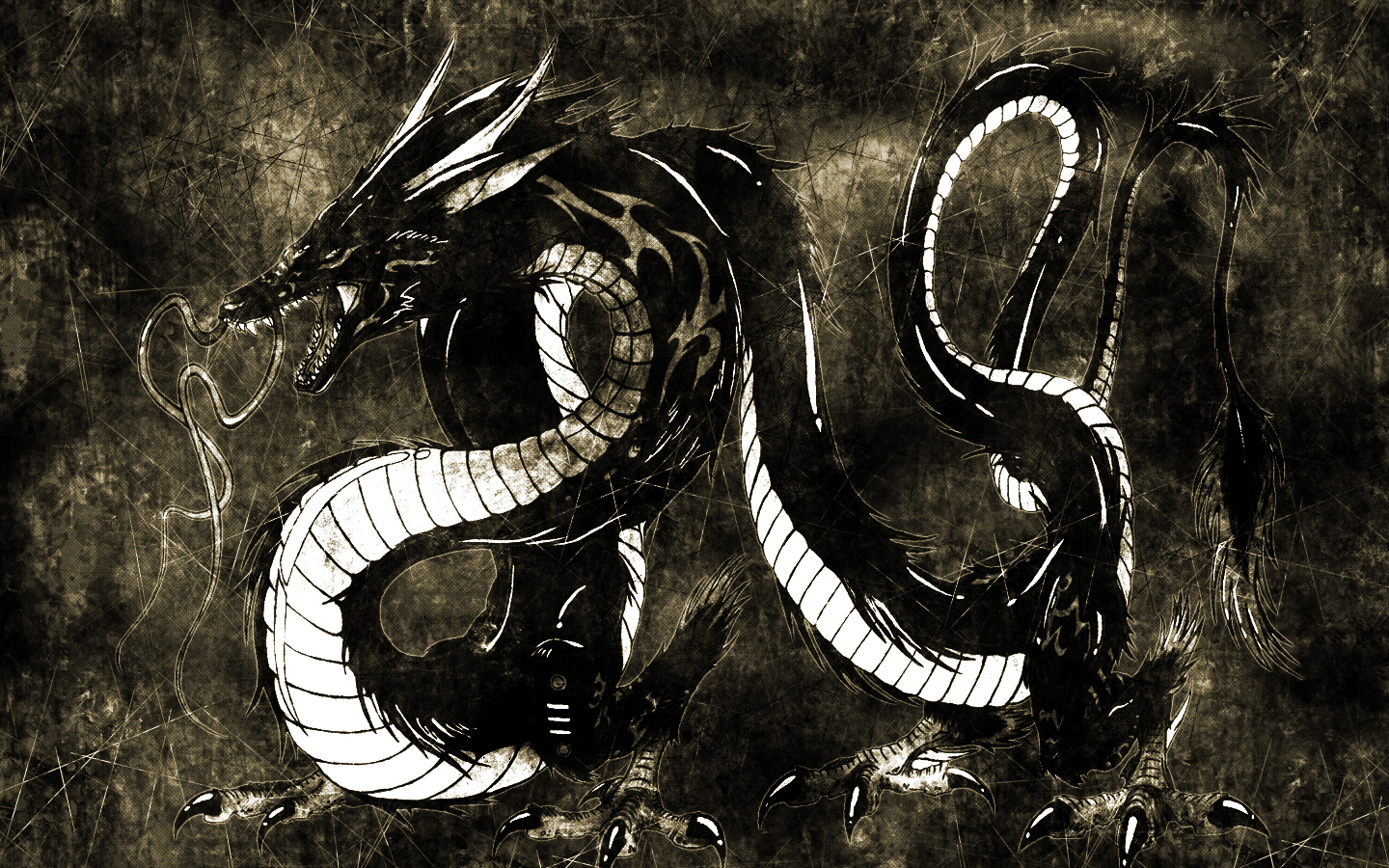 black dragon photo, black dragon wallpaper, download wallpapers for desktop