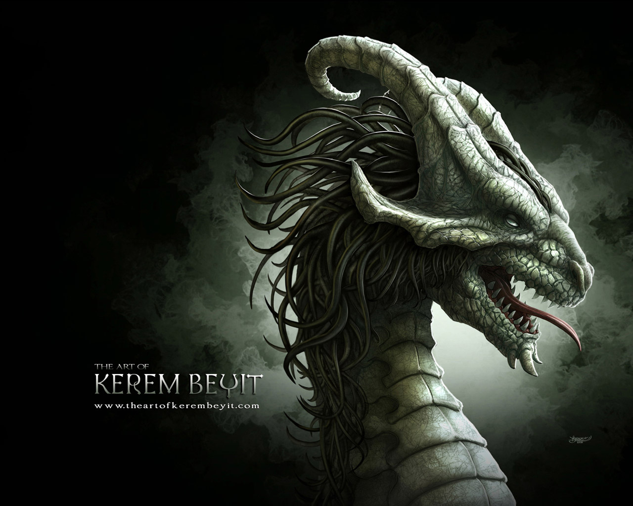 black serpent, snake, dragon, photo, wallpapers for desktop, download free, without payment