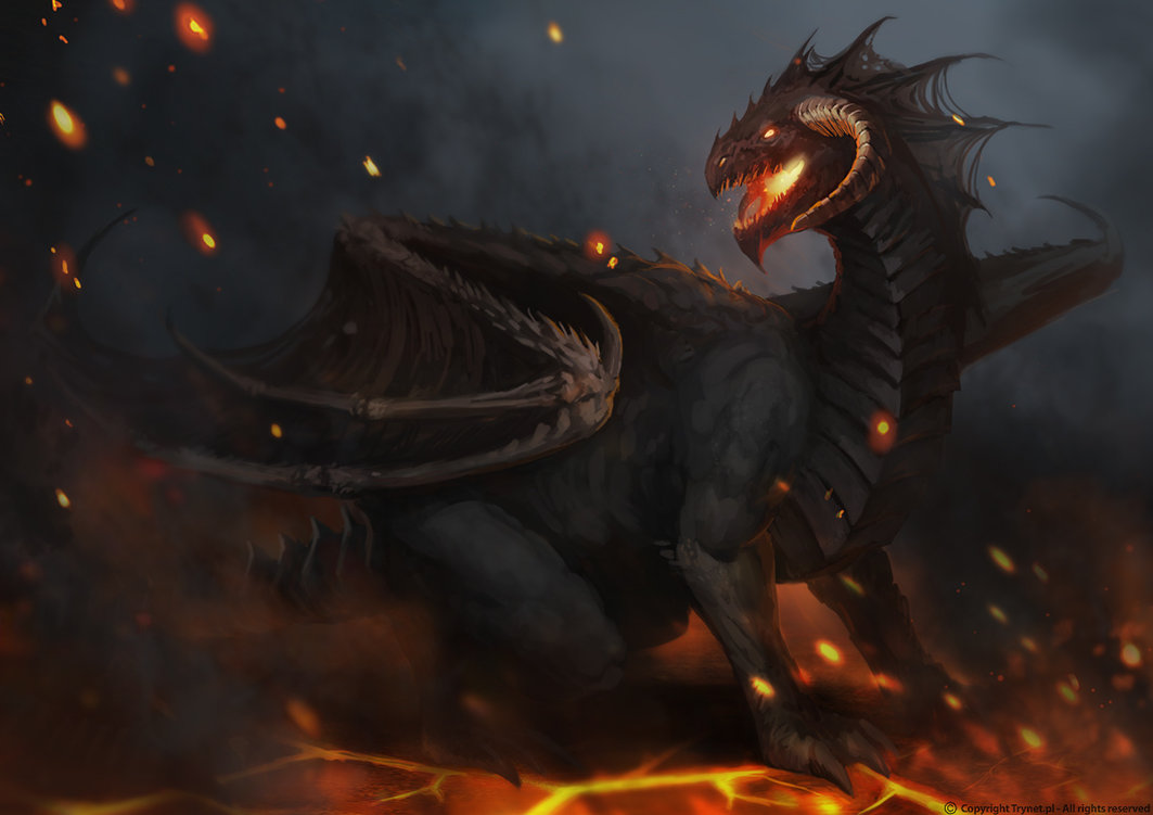black dragon, big dragon, photo, wallpapers for desktop, download, black dragon