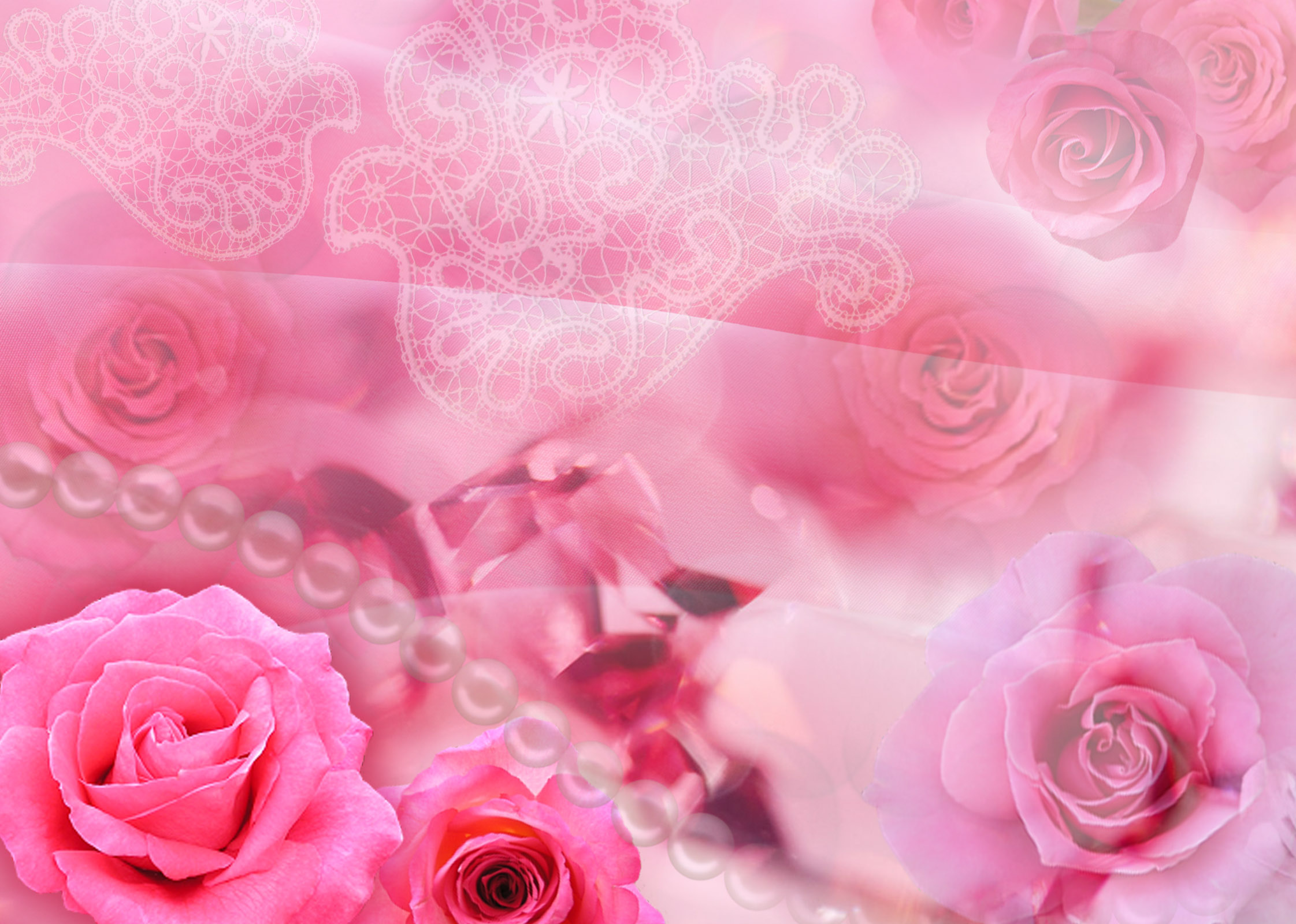 Roses, download photo, wallpapers for desktop