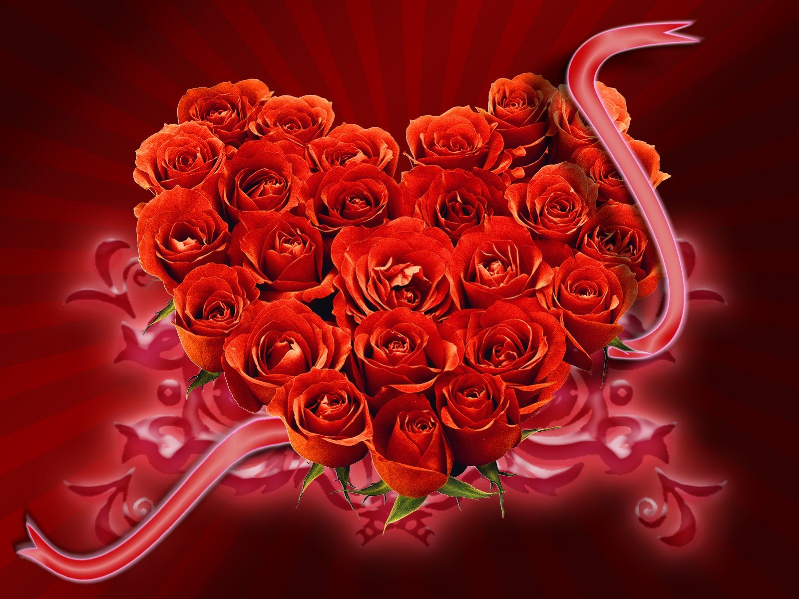 many red roses, heart  from  roses, download photo, desktop wallpapers