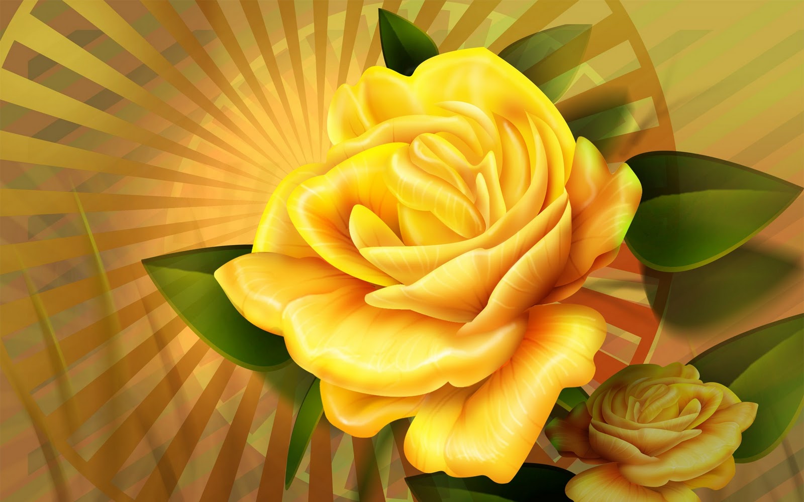  big rose on background sun, download photo, wallpapers for desktop