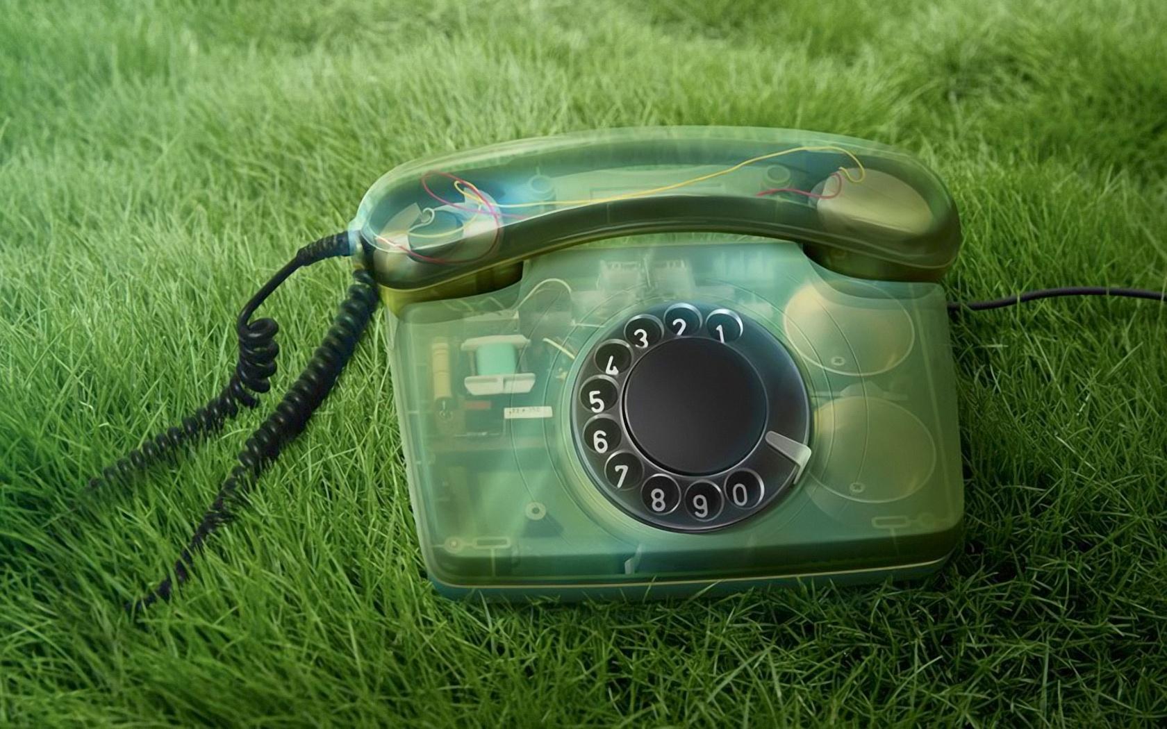 Phone ongrass, photo, download, wallpapers for desktop