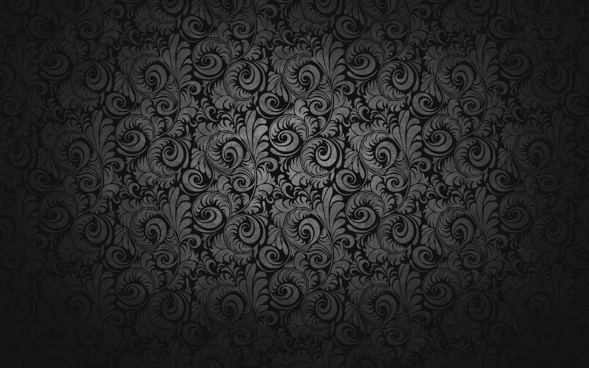 wallpapers, black wall, Flowers, photo, download, free, without payment